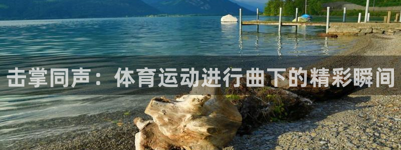 yy易游官方正版app代理:击掌同声:体育运动进行曲下的精彩