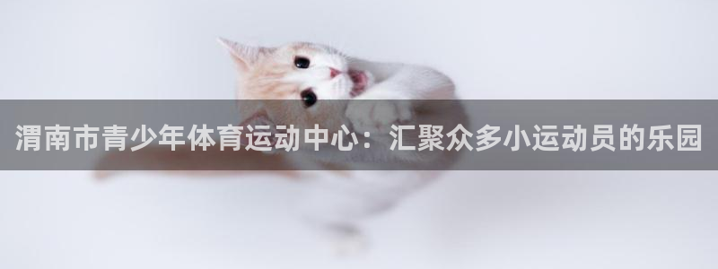 yy易游官方正版app五金厂:渭南市青少年体育运动中心:汇聚